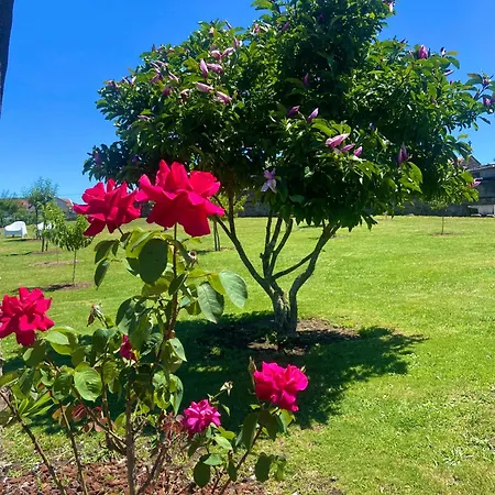 O Eido Da Barreira Holiday home *