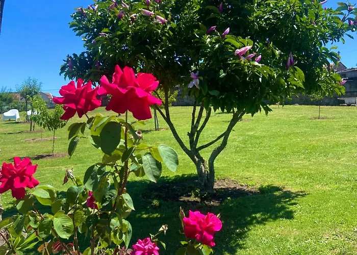 O Eido Da Barreira 度假居 *