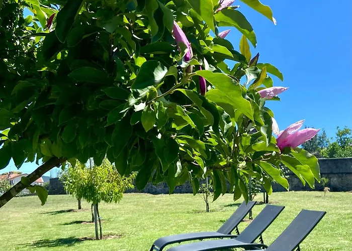 O Eido Da Barreira Ποντεβέντρα